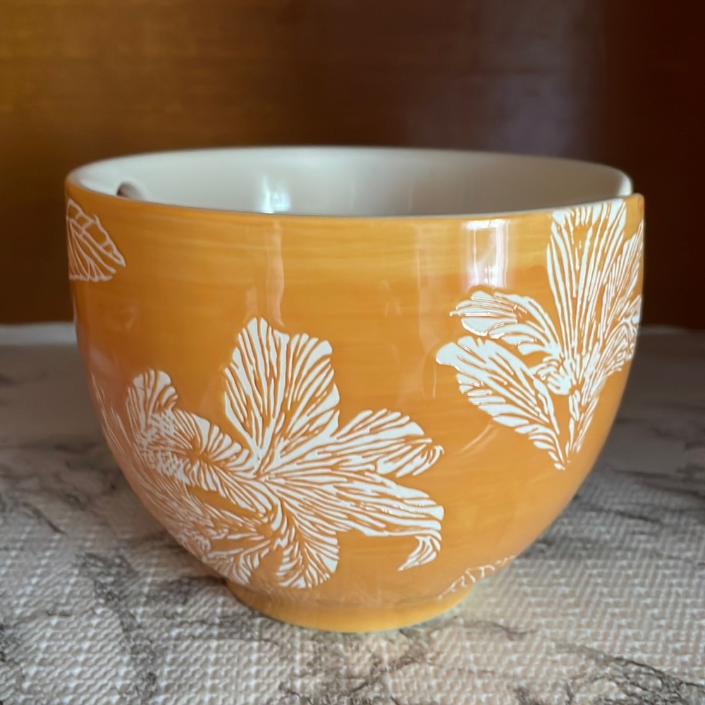Urban Outfitters Ramen Bowl